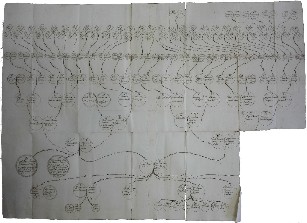 arbolgenealogico